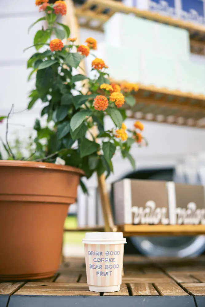 Drink Good Coffee Bear Good Fruit cup beside potted flowers at the camper