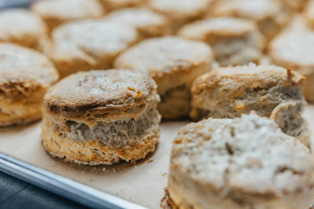 Flaky sea-salt biscuits fresh on the sheet pan